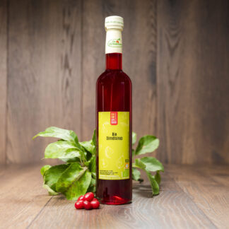 Bio Dirndlsirup